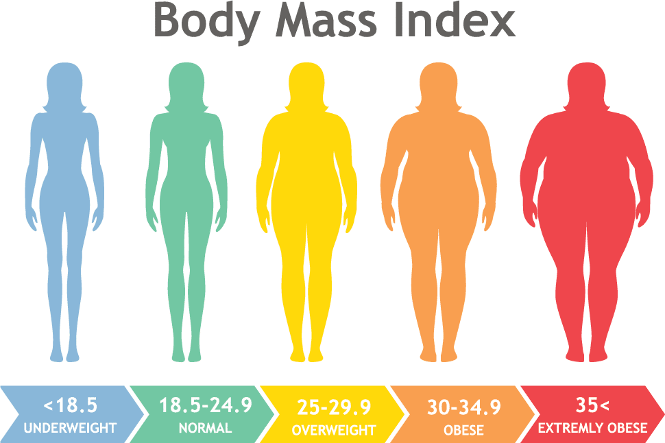 Body Mass Index - Medical Weight Loss Palm Coast FL